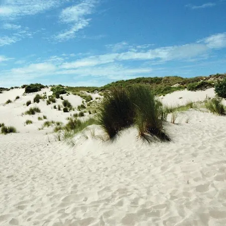 Goudstrand *